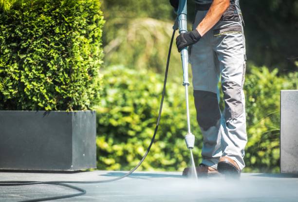 Best Solar Panel Cleaning  in Webster, TX