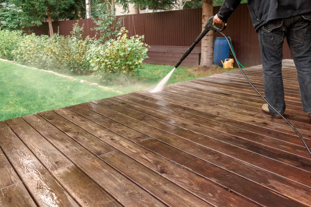 Best Pre-Holiday Cleaning  in Webster, TX